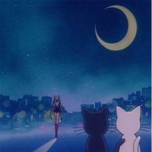 内射流白沫视频
